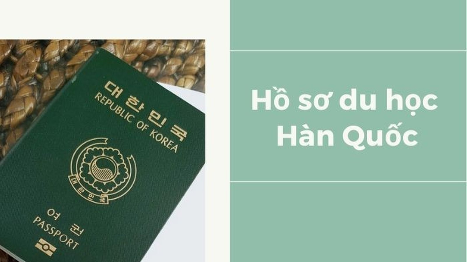Các bước nhập học