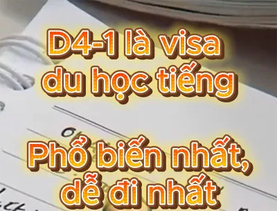 Các loại hình visa Du Học thường gặp là gì?