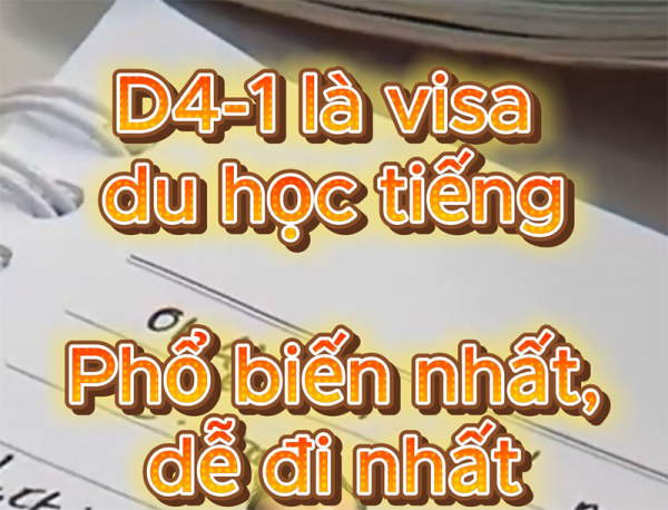 Các loại hình visa Du Học thường gặp là gì?