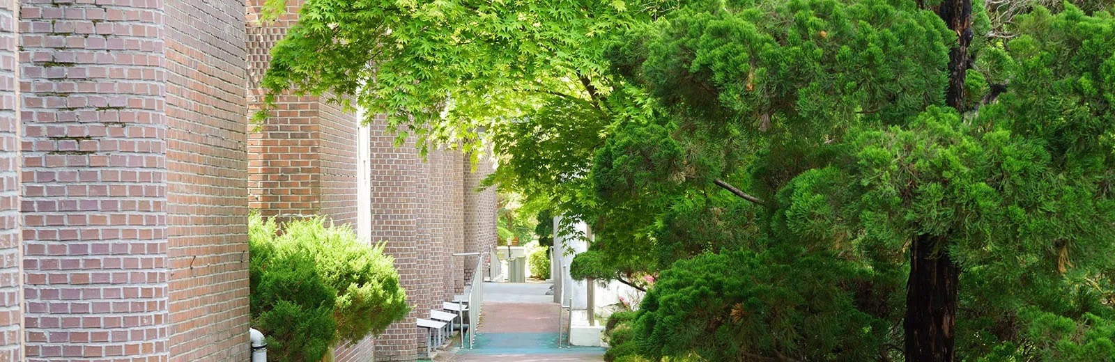 Hanil University