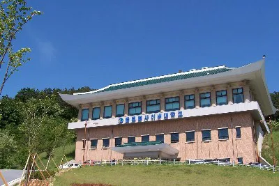 GLOBAL CYBER UNIVERSITY
