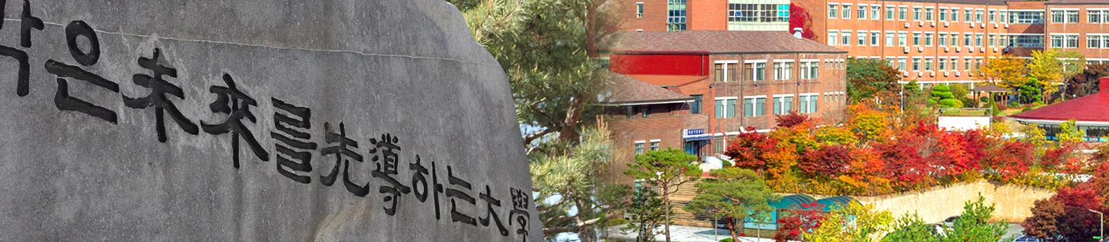 Chungnam State University