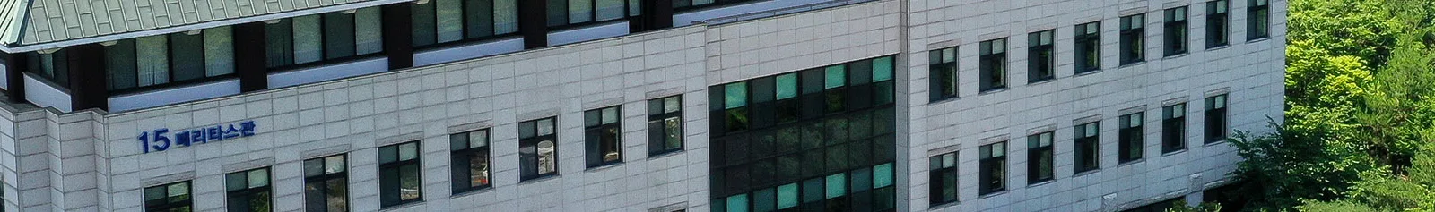 The Catholic University Of Korea