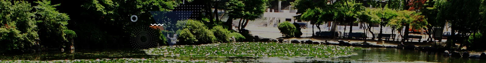 Kangwon National University