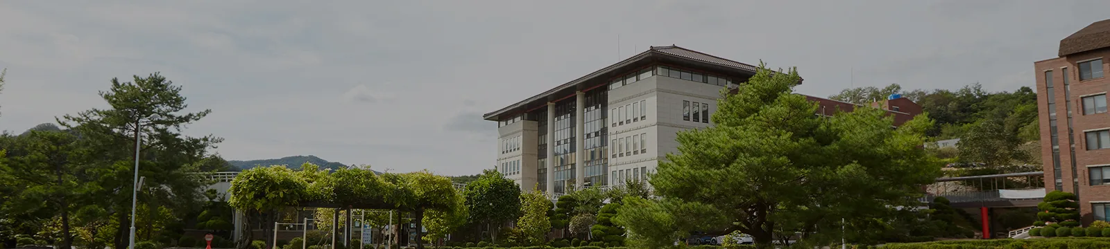 Saekyung University