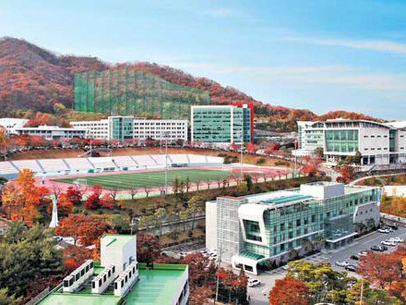 Yong In University