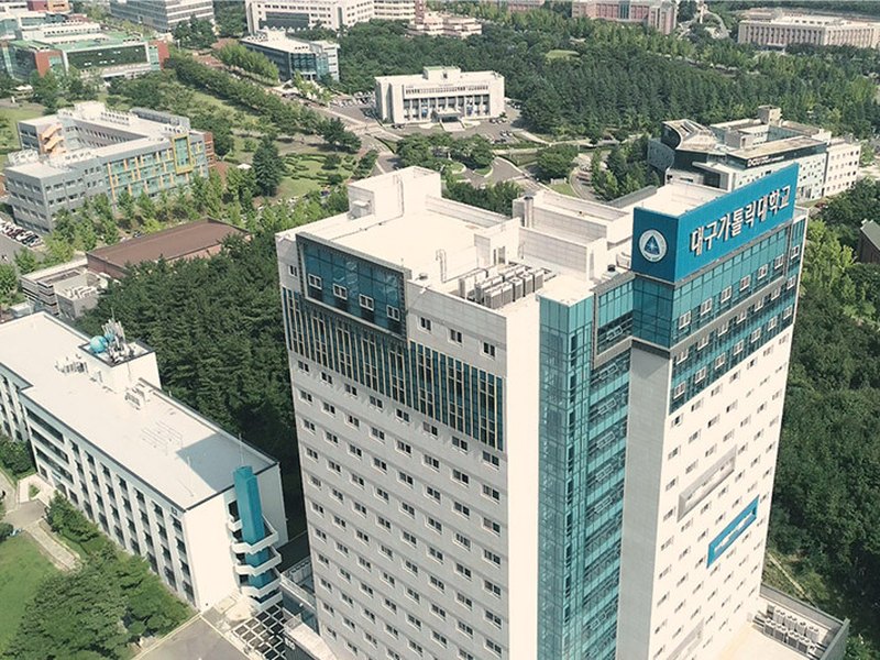 DAEGU CATHOLIC UNIVERSITY