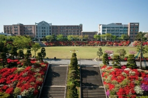 Dongkang College | 동강대학교