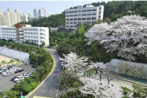 Busan Kyungsang College | 부산경상대학교