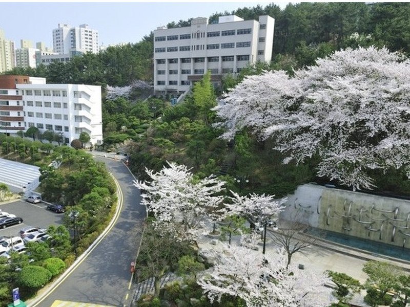 Busan Kyungsang College | 부산경상대학교