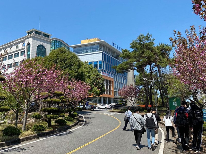 CHEONGAM COLLEGE | 청암대학교