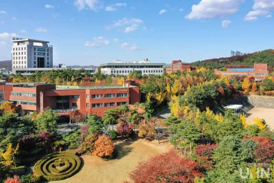The Catholic University Of Korea