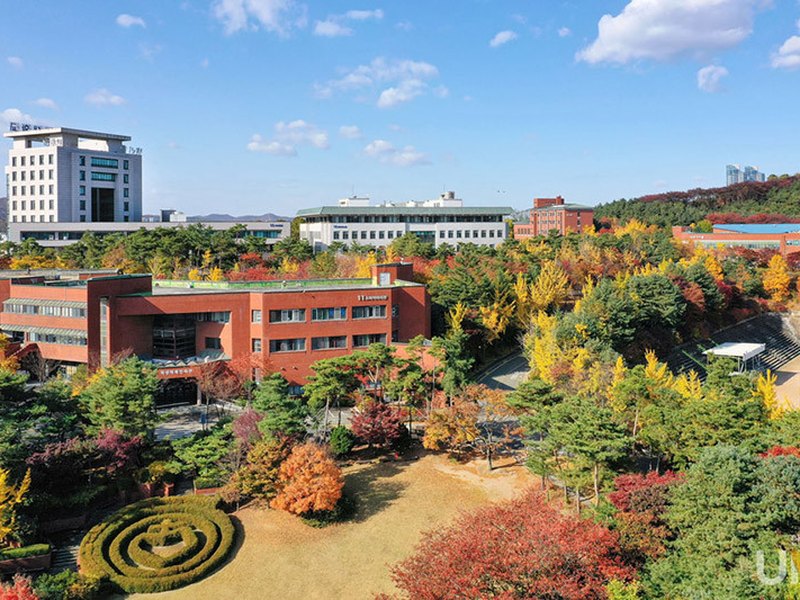 The Catholic University Of Korea