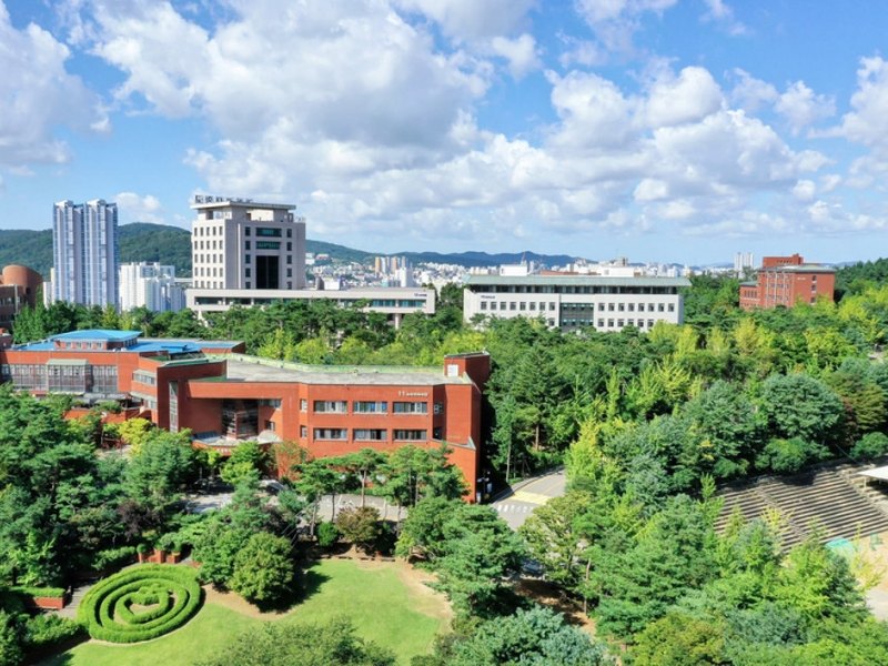 The Catholic University Of Korea