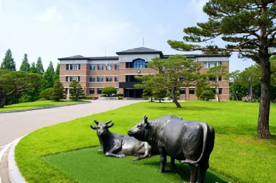 YONAM COLLEGE
