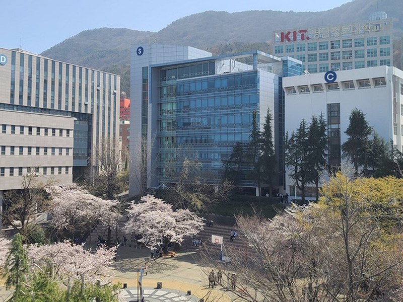 Kyungnam College Of Information And Technology | 경남정보대학교