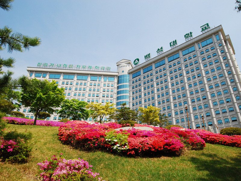 BAEKSEOK UNIVERSITY