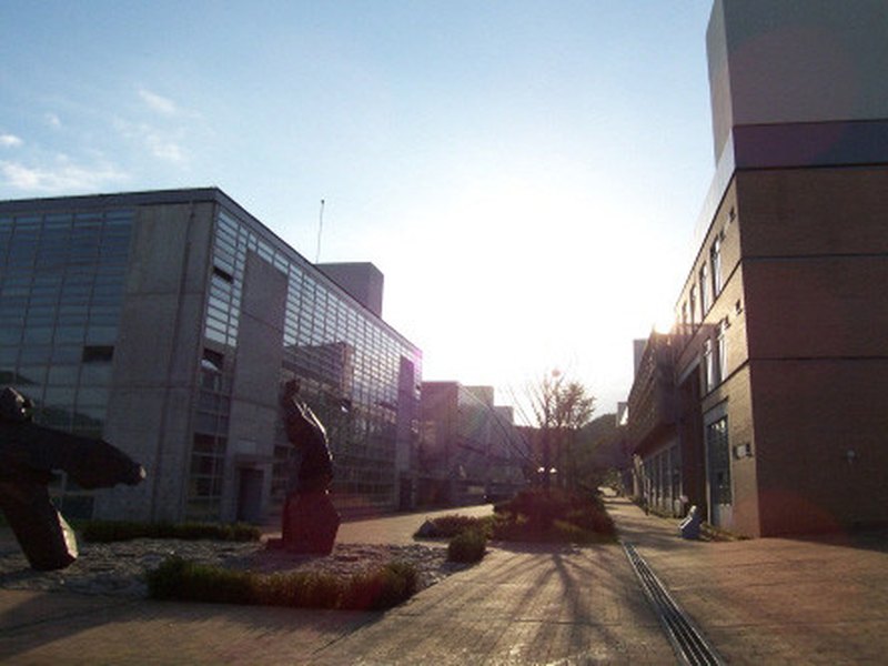 KOREA NATIONAL UNIVERSITY OF CULTURAL HERITAGE | 한국전통문화대학교