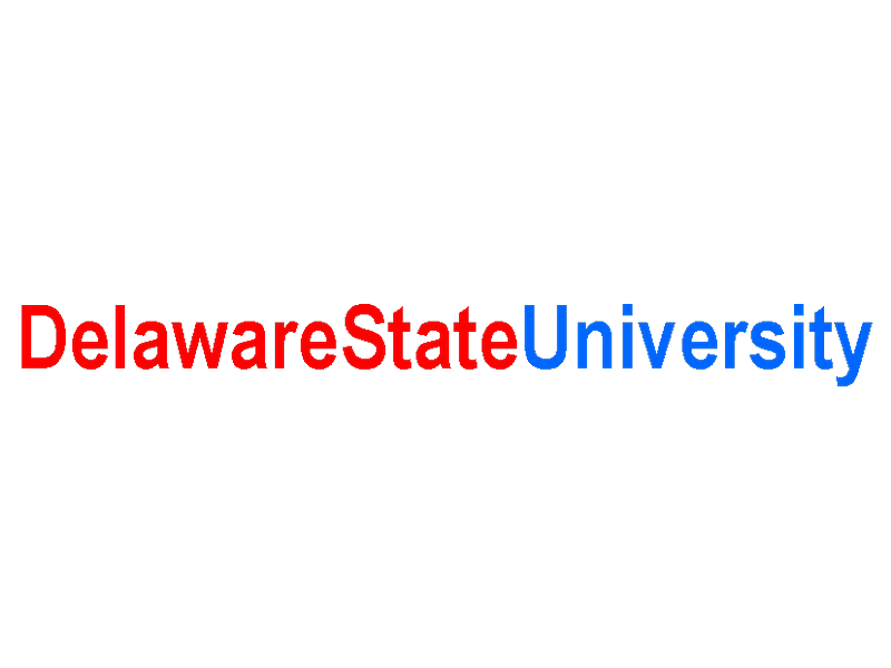 DSU