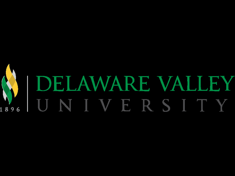 DVC