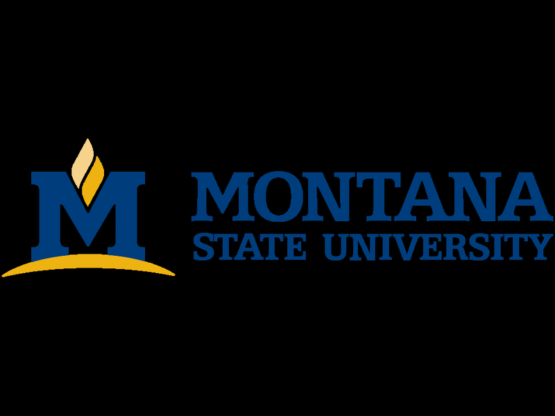 MSU