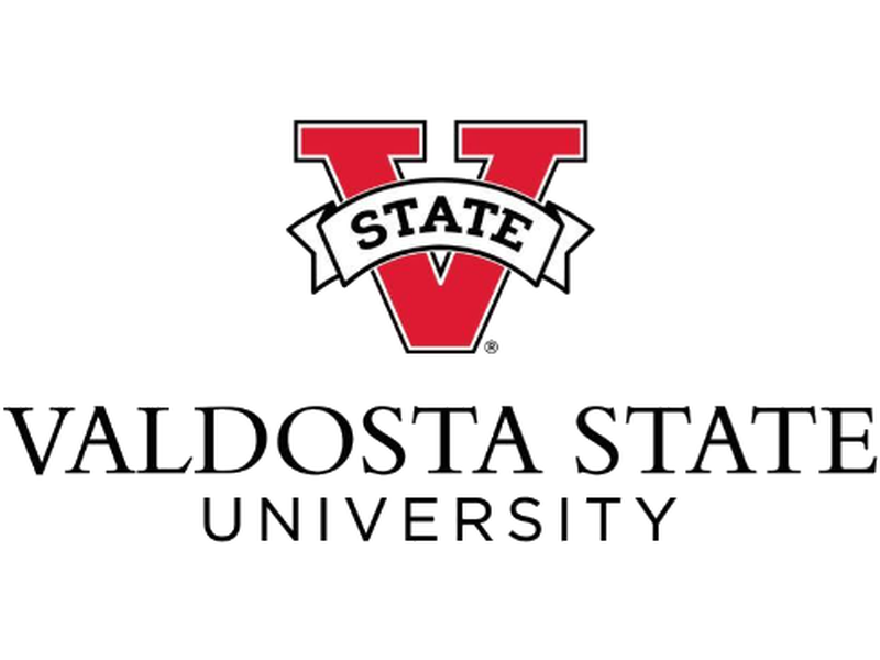 VSU