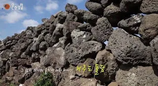 [Ngữ pháp] Vㄴ/는 다던데, A다던데: thấy bảo là... vậy, nghe nói là... nên...