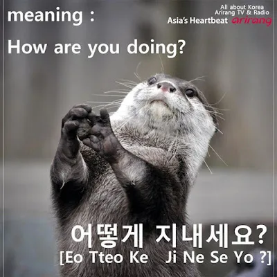 [Ngữ pháp] Động từ+ -(으)ㄹ래요