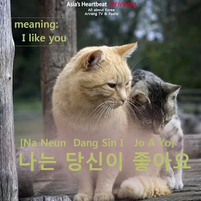 [Ngữ pháp] Động từ/tính từ -(으)ㄹ 수밖에 없다