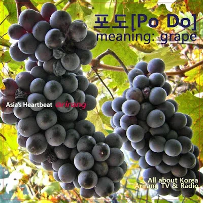 [Ngữ pháp] Tính từ + (으)ㄴ가요?, Động từ + 나요?