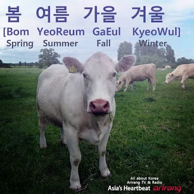 [Ngữ pháp] Động từ/Tính từ + -(으)면 좋겠다, Động từ/Tính từ + -았/었으면 좋겠다