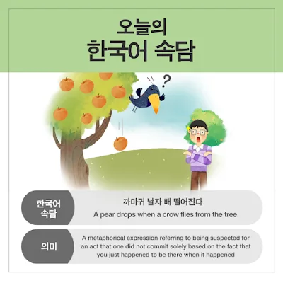[Ngữ pháp] N 치고: Đã là...thì (sẽ) không... / so với...thì...