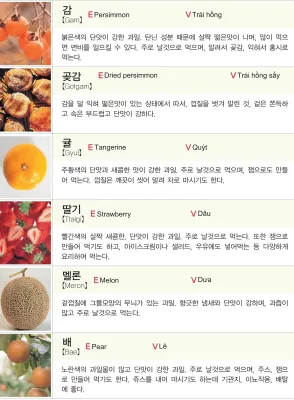 [Từ vựng tiếng Hàn theo chủ đề] Từ vựng tiếng Hàn liên quan đến các loại rau củ quả, trái cây