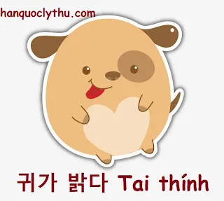 Phần 2: Tiếng lóng, quán dụng ngữ, tục ngữ thú vị trong tiếng Hàn