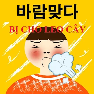 Phần 1: Tiếng lóng, tục ngữ, quán dụng ngữ thú vị trong tiếng Hàn