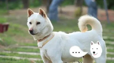 [Ngữ pháp] Động từ/Tính từ + 고요 'còn... nữa, không những thế..., thêm nữa,'