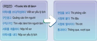 [Từ vựng tiếng Hàn theo chủ đề] Nghề nghiệp - Xin việc (취업)