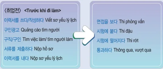 [Từ vựng tiếng Hàn theo chủ đề] Nghề nghiệp - Xin việc (취업)
