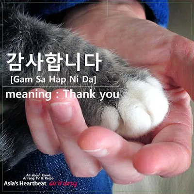 [Ngữ pháp] Động từ/Tính từ + 기는요