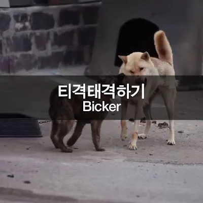 [Ngữ pháp] V + 도록: Để/để cho - cho đến khi/cho đến tận
