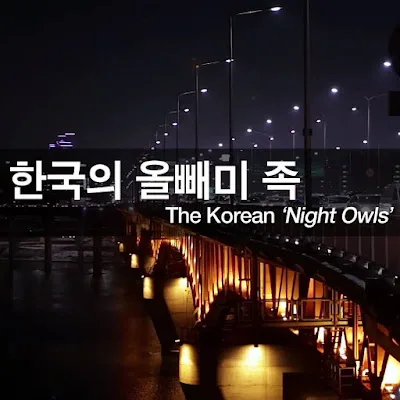 [Ngữ pháp] V+는 바람에  'Vì, do, bởi....nên....'