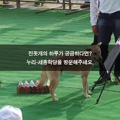 [Ngữ pháp] V 나 보다/ A (으)ㄴ가 보다: Có vẻ là, chắc là...