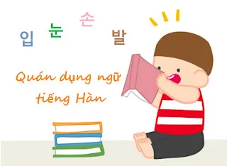 Phần 3: Quán dụng ngữ tiếng Hàn thú vị liên quan đến mắt, miệng, tay, chân