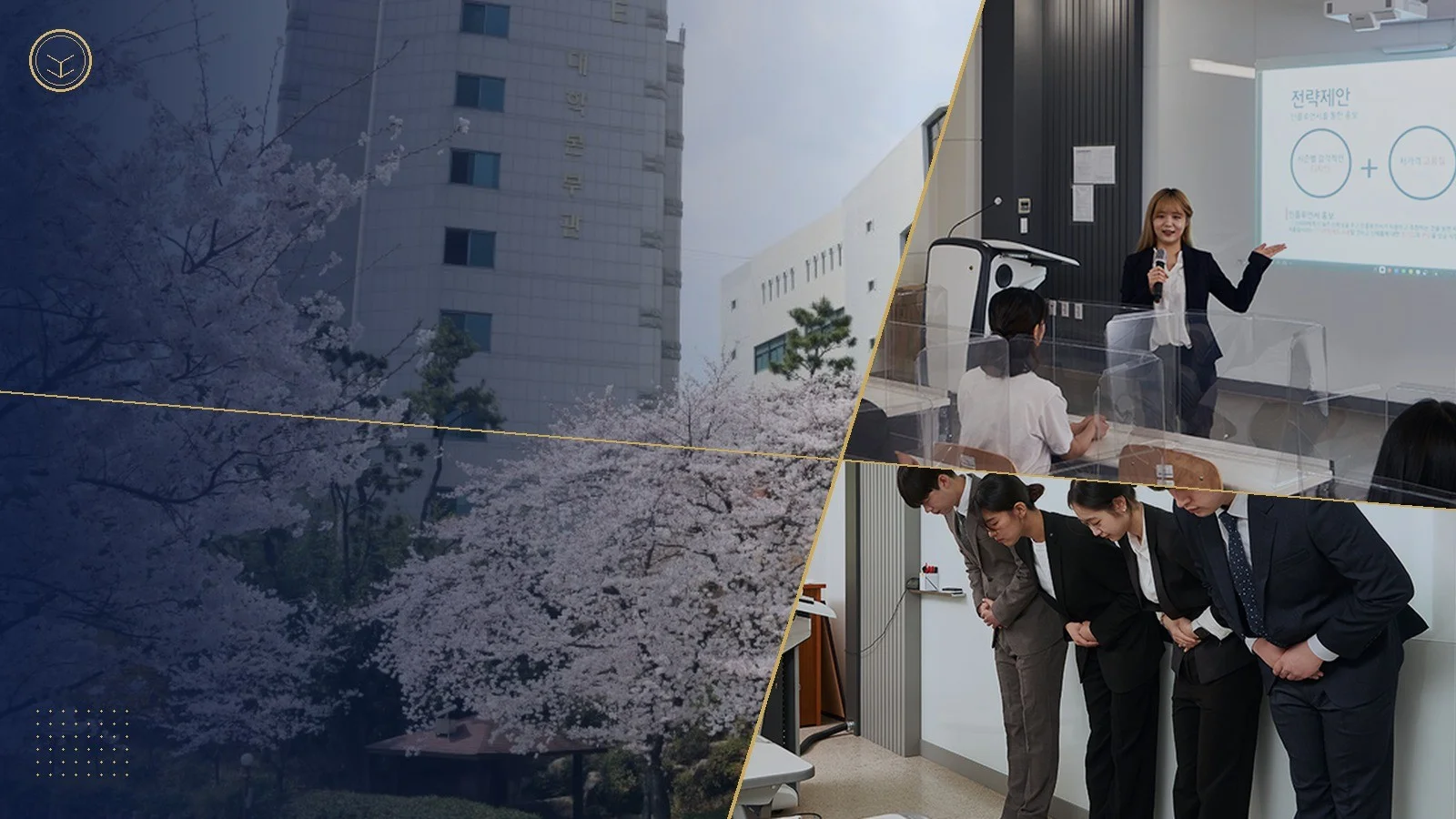 부산가톨릭대학교 đào tạo gì cho sinh viên Việt Nam? Ngành Marketing Phân phối và Hàn Quốc học