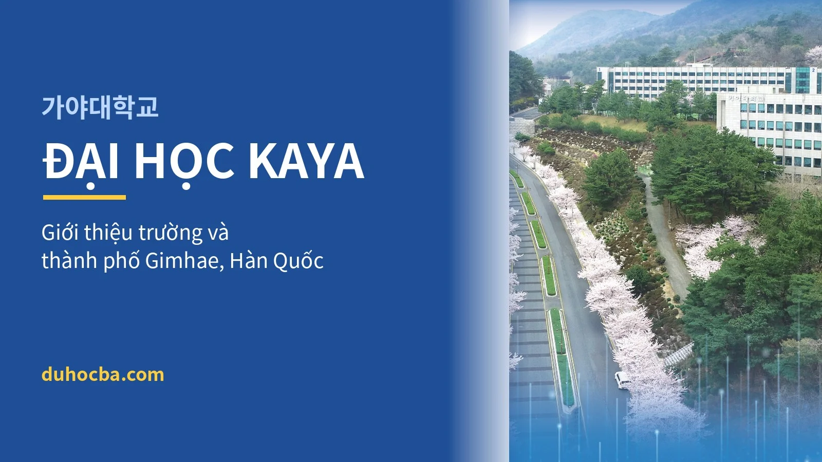 Đại học Kaya và thành phố Gimhae - giới thiệu cho du học sinh