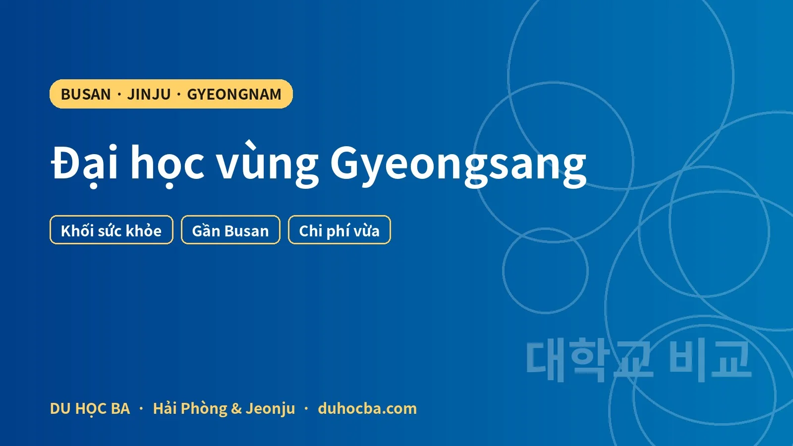 Đại học vùng Gyeongsang: Busan, Jinju và các trường lân cận 2026