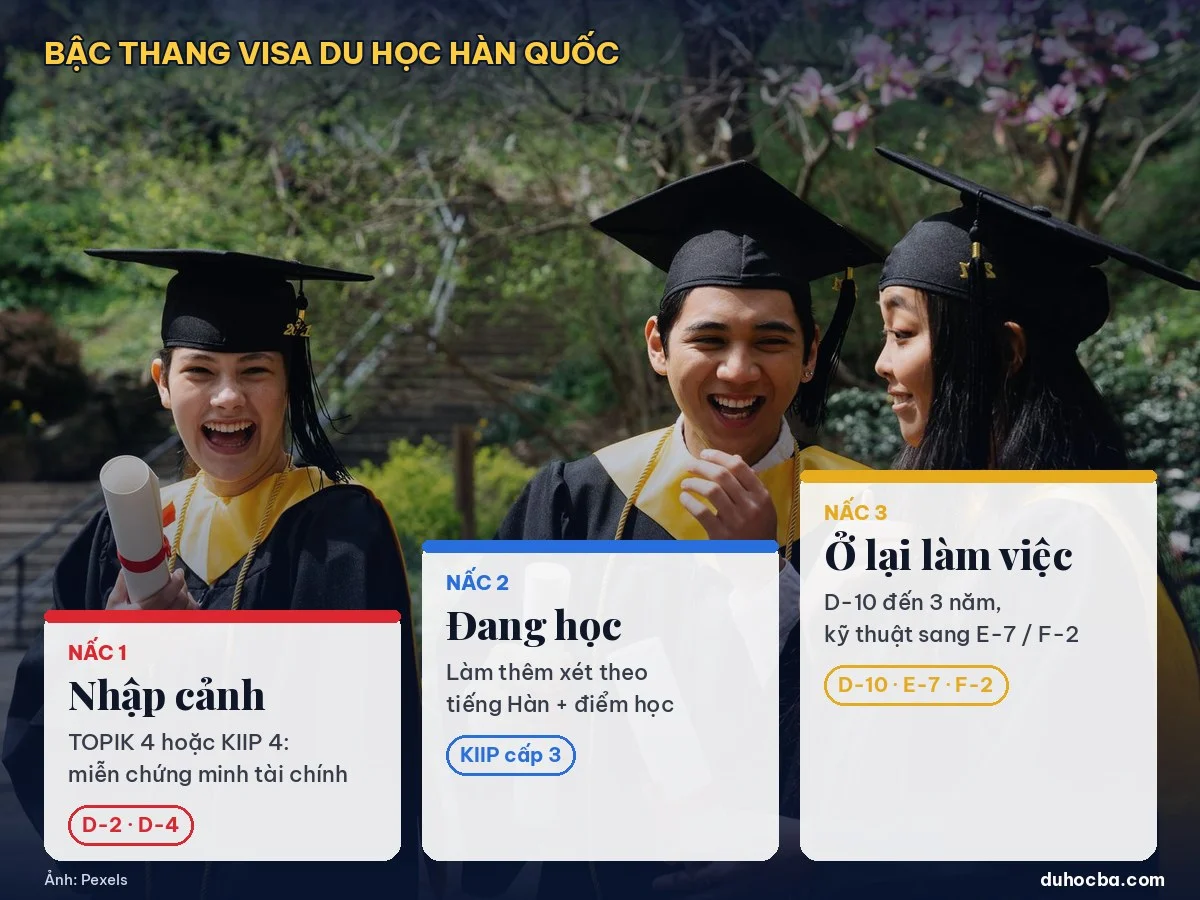 Bậc thang visa du học Hàn Quốc 2026: nhập cảnh D-2 D-4, đang học làm thêm, ở lại với D-10 E-7 F-2